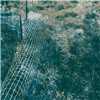 Ambulation