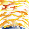 Clearing Clouds of Confusion