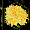 Dahlia